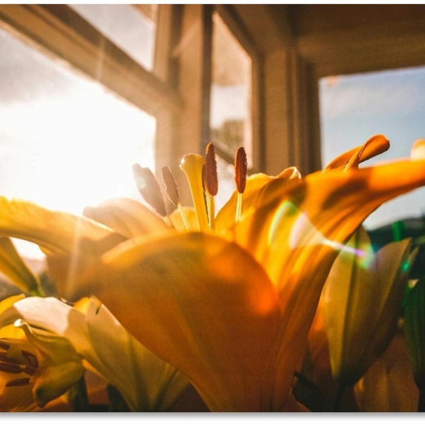 Protected: Byron Winter Sun Solstice Retreatlette – Gracias Madre Newcomers