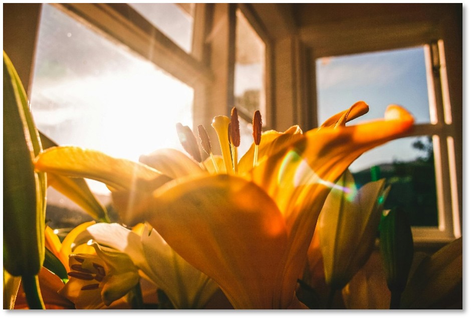 Byron Winter Sun Solstice Retreatlette - Gracias Madre Newcomers